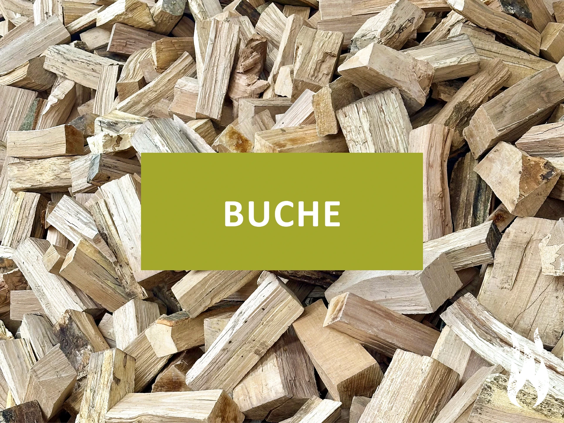 Buche